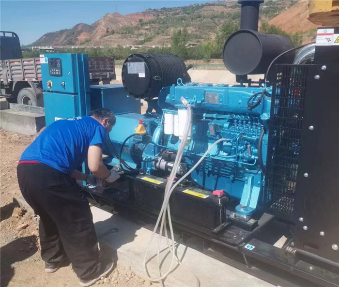 濰柴電(dian)子原裝機(jī)組WPG275/B8