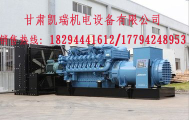 甘(gan)肅玉柴柴油發(fa)電機組價格