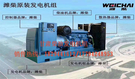 甘肅玉柴(chái)柴油發電機組