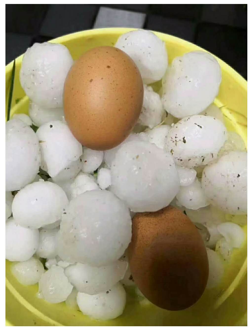 甘肅(sù)發生冰雹(báo)災害 甘肅(su)發生冰雹(báo)災害