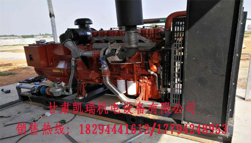 蘭(lán)州柴油發(fā)電機組廠(chǎng)家 蘭州柴(chái)油發電機(ji)組廠家