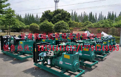 蘭州(zhou)柴油發電機(ji)組價格